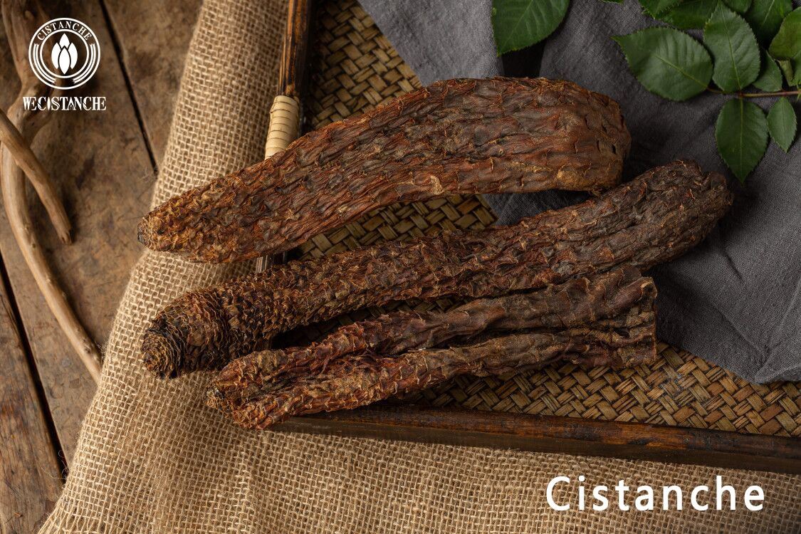 Cistanche can indeed improve kidney function