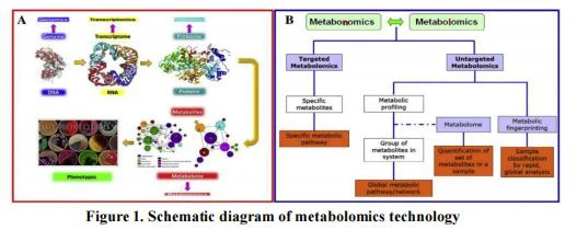 Schematic diagram of metabolomics technology