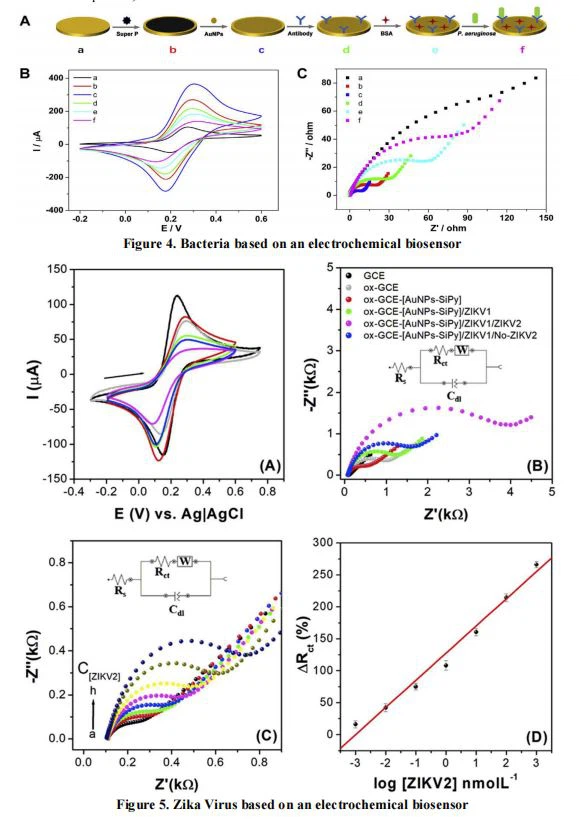 Virus based on an electrochemical biosensor