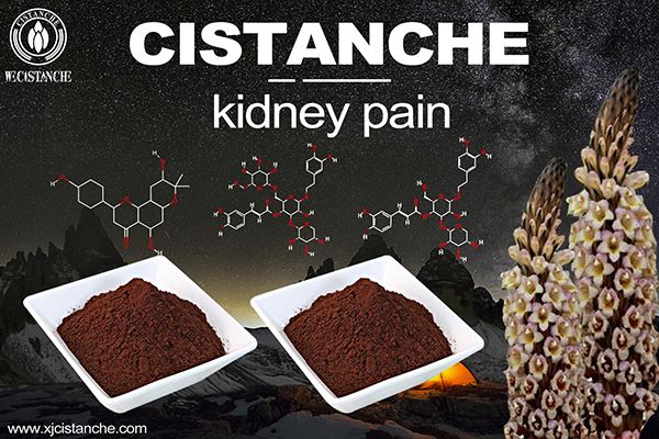 how to treat kidney disease