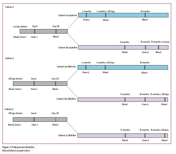 Trial process timeline Trial process timeline