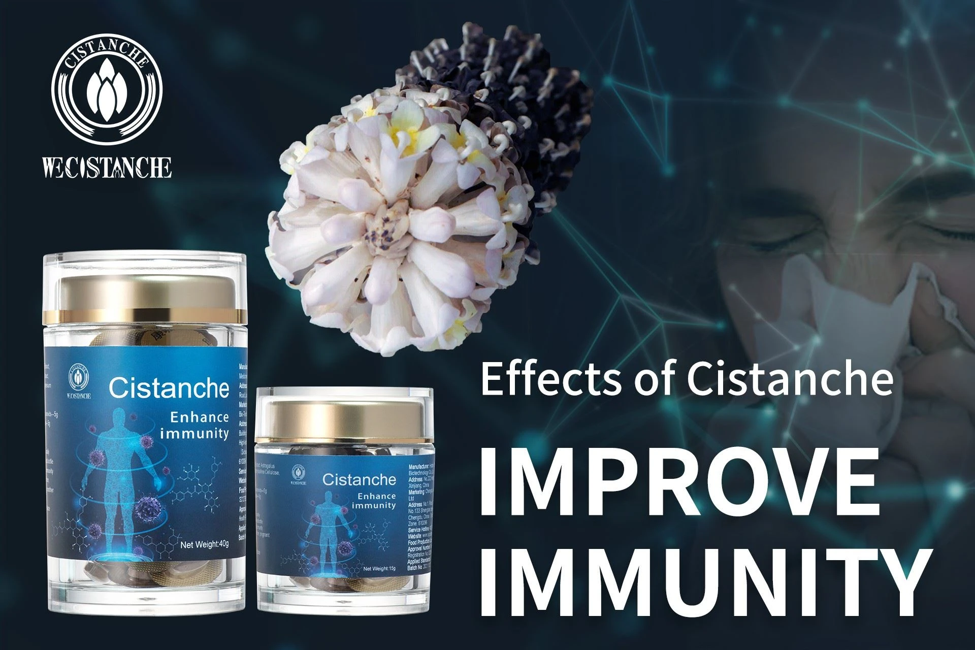 cistanche tubulosa supplements cistanche tubulosa supplements