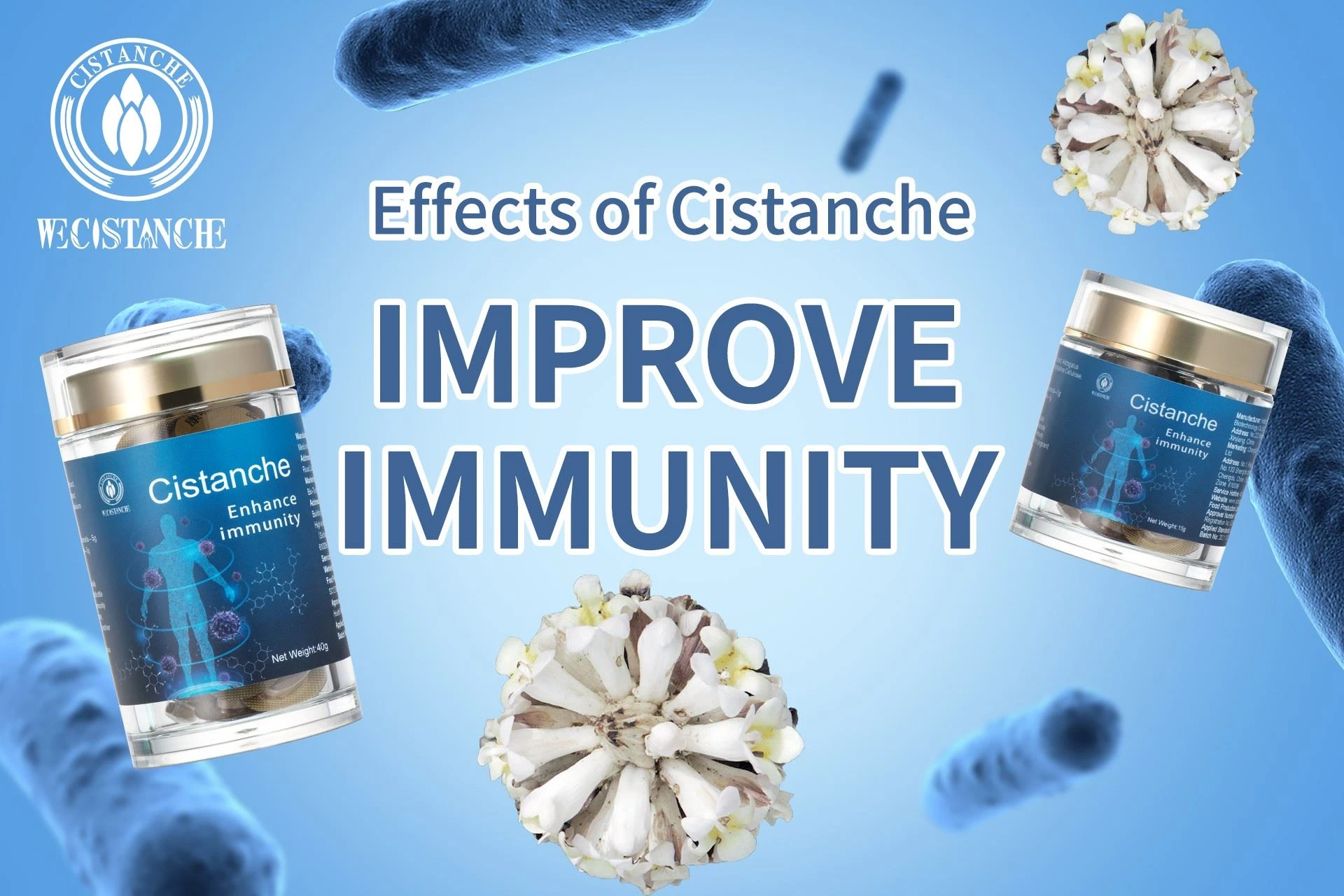 cistanche supplement: improve immunity cistanche supplement: improve immunity
