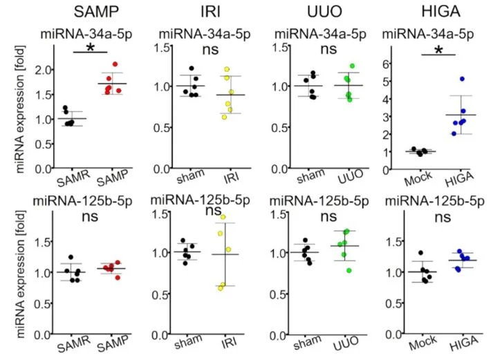 Comparison of miRNA expression levels in various renal diseases Comparison of miRNA expression levels in various renal diseases