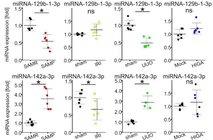 Comparison of miRNA expression levels in various renal diseases Comparison of miRNA expression levels in various renal diseases