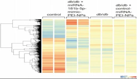 Heat map of the differentially expressed genes in the kidney Heat map of the differentially expressed genes in the kidney