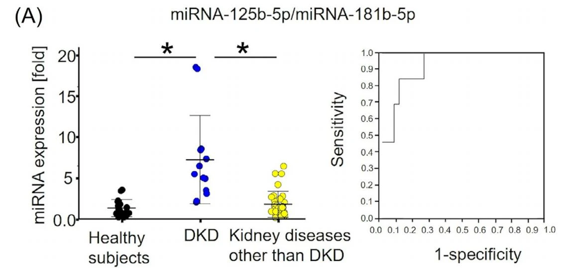 Utility of the serum levels of miR-125b-5p and miRNA-181b-5p as diagnostic biomarkers for DKD Utility of the serum levels of miR-125b-5p and miRNA-181b-5p as diagnostic biomarkers for DKD