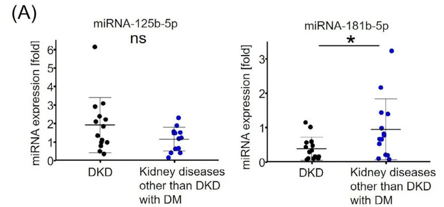 kidney diseases kidney diseases
