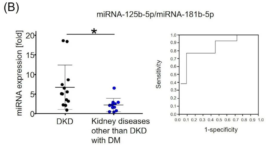 kidney diseases kidney diseases