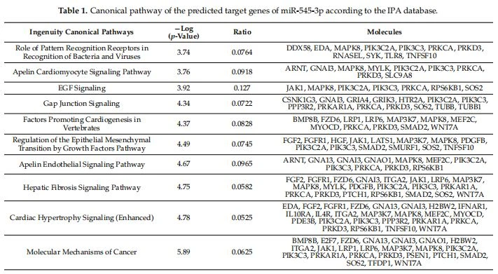 Table 1. Canonical pathway of the predicted target genes of miR-545-3p according to the IPA database.