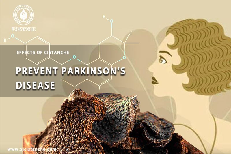 Cistanche prevent parkinson's disease effects