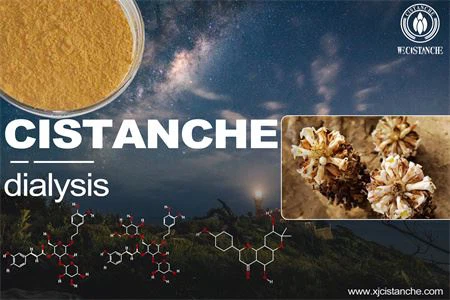 Cistanche-kidney dialysis-4(22) Cistanche-kidney dialysis-4(22)