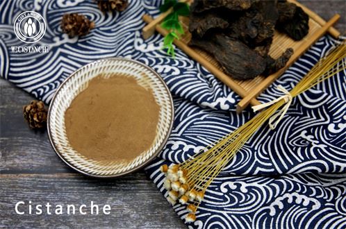 CISTANCHE EXTRACT