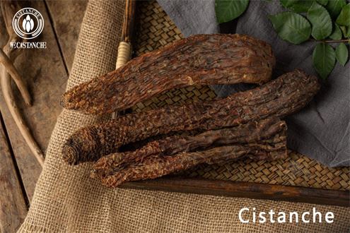 Cistanche herb Cistanche herb