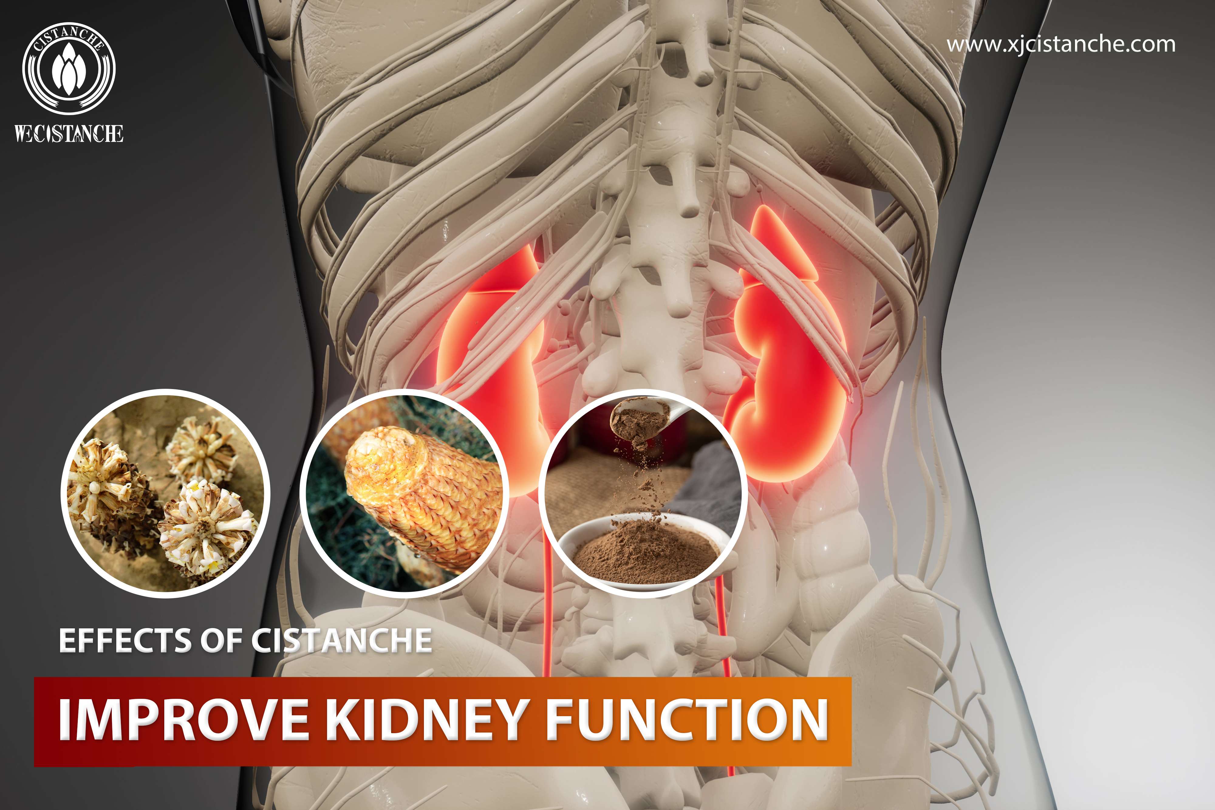 how to treating kidney disease
