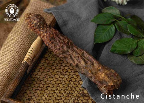 cistanche