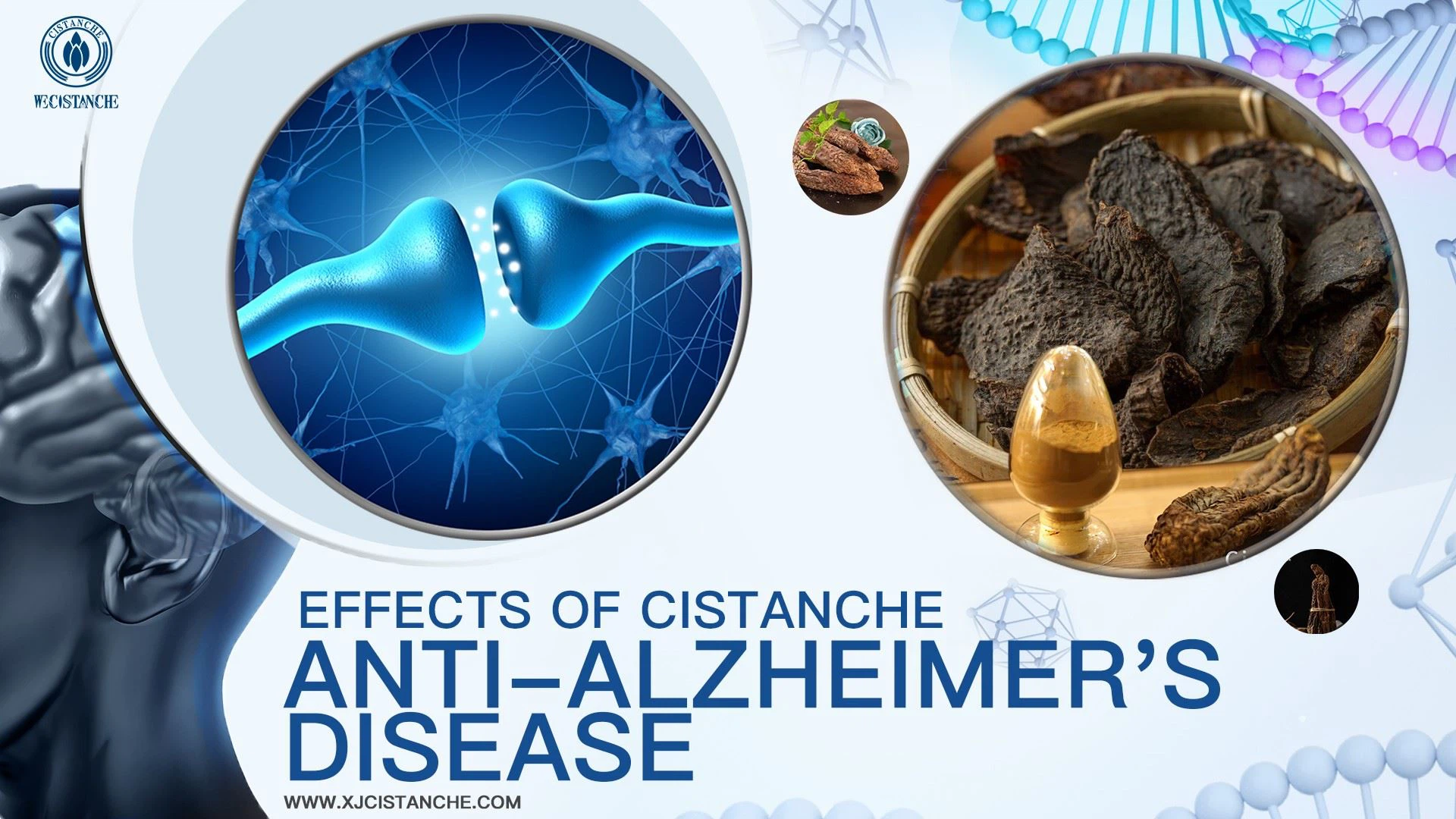best herb for alzheimer's disease
