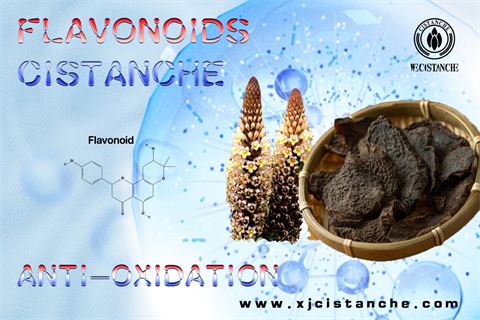 1flavonoids antioxidant
