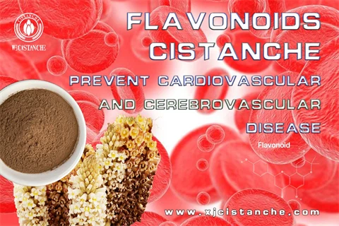 flavonoids supplements prvt cardiovascular cerebrovascular disease flavonoids supplements prvt cardiovascular cerebrovascular disease