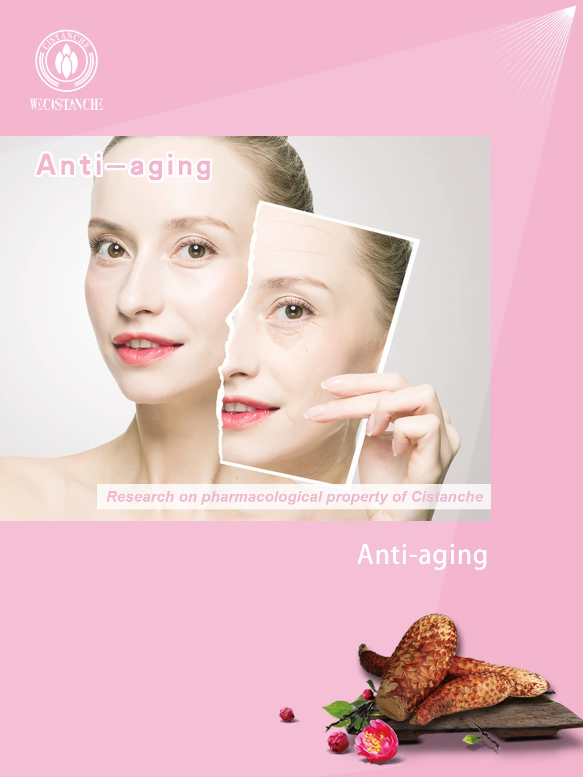 cistanche dht anti-aging