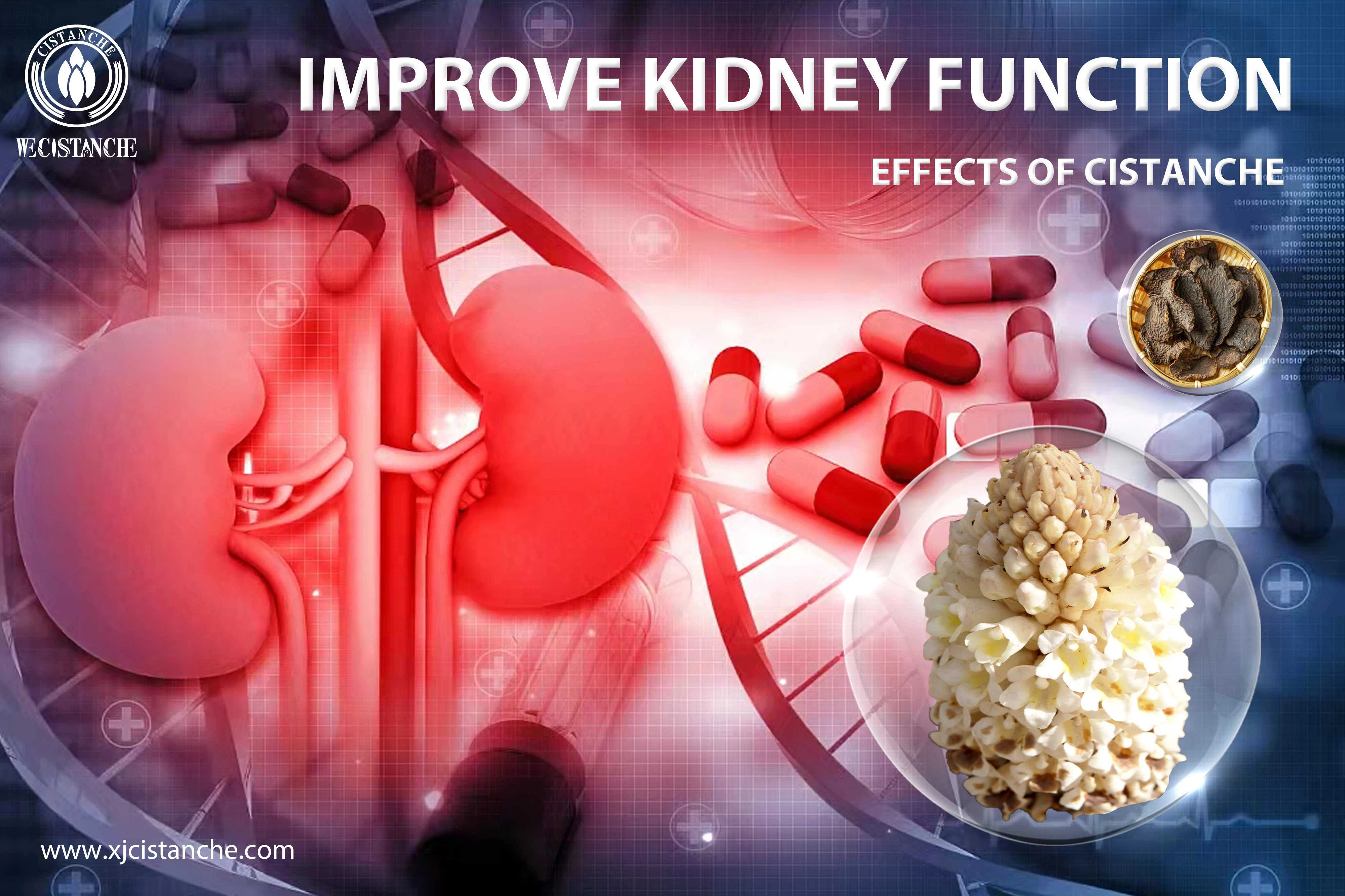 kidney deficiency supplement