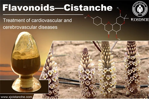 flavonoids supplement flavonoids supplement
