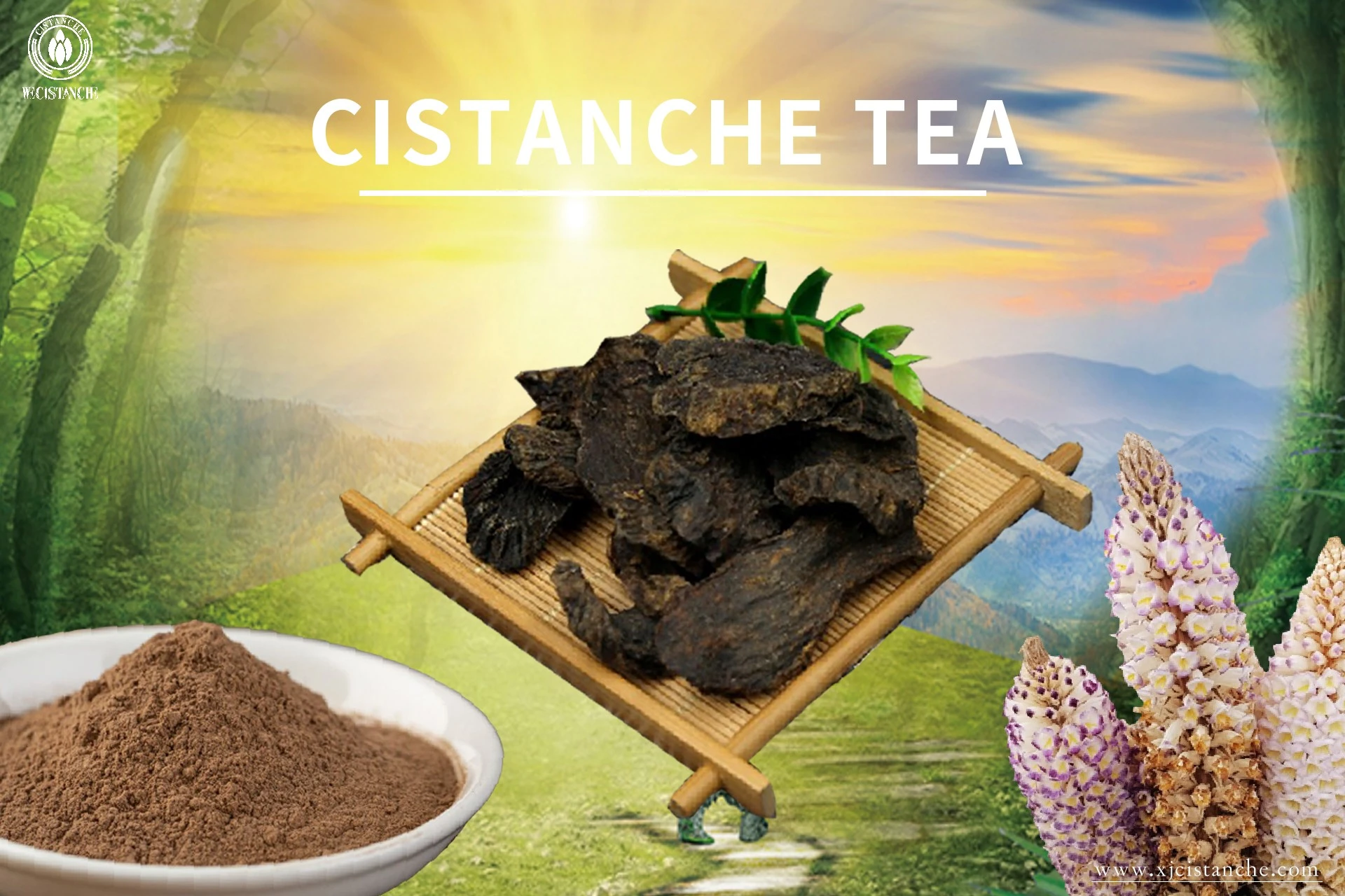 Cistanche usage Cistanche usage