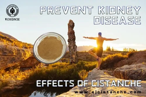 how to prevent kidney disease