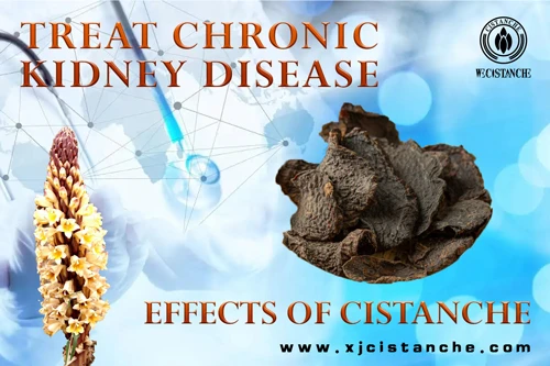 treat chronic kidney disease