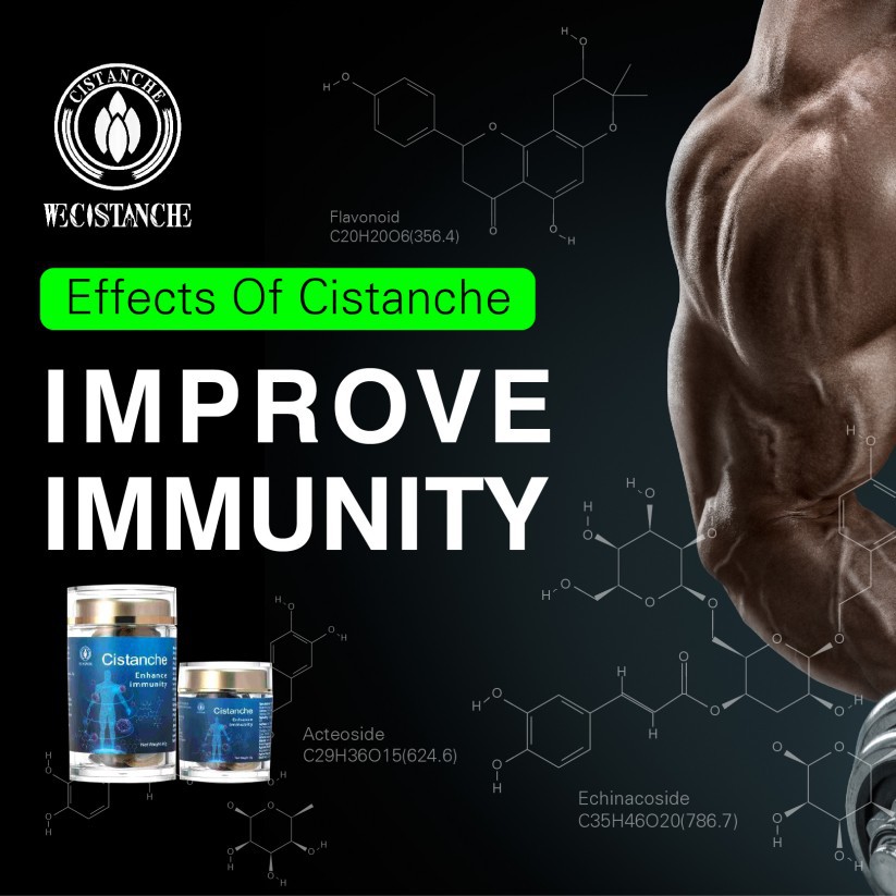 cong rong cistanche cong rong cistanche