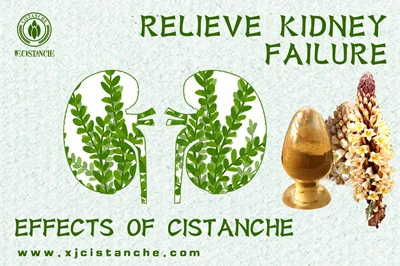 relieve kidney disease