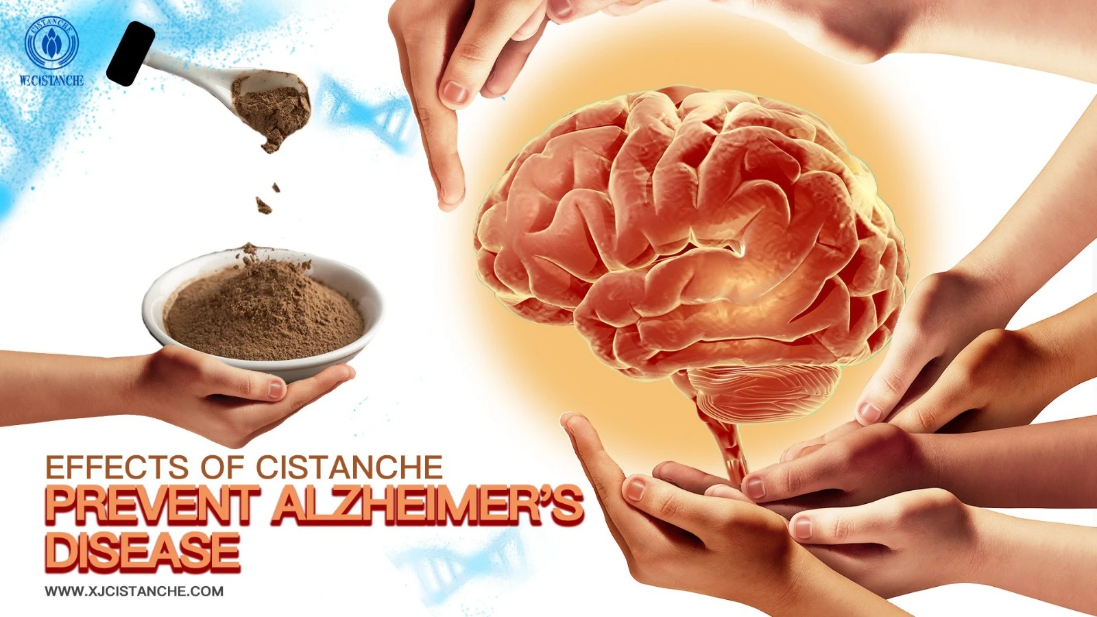 cistanche benefits and side effects cistanche benefits and side effects