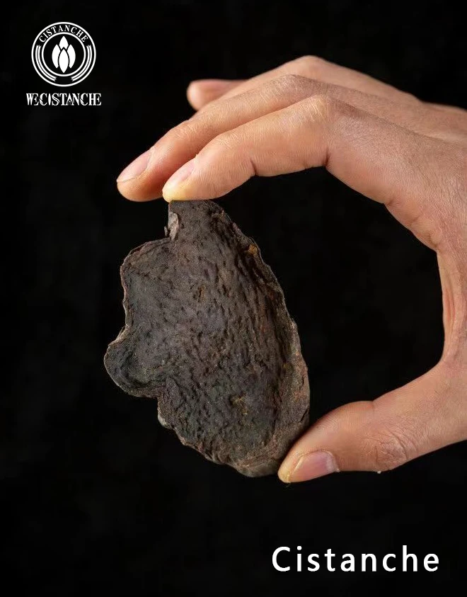 cistanche tubulosa benefits