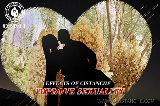 effects of cistanche-improve kidney function (13)