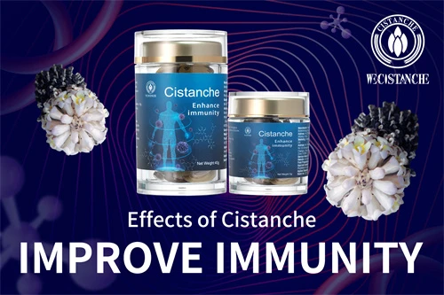 cistanche effects