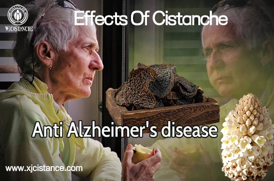 Anti Alzheimer's disease Anti Alzheimer's disease