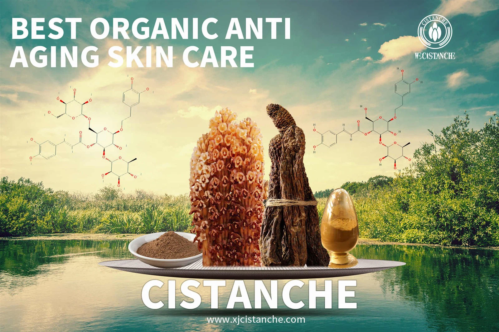 cistanche nutrilite