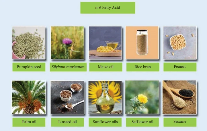 cistanche anti-inflamation benefits