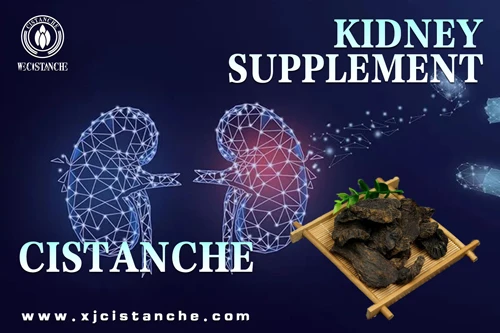 cistanche tubulosa extract