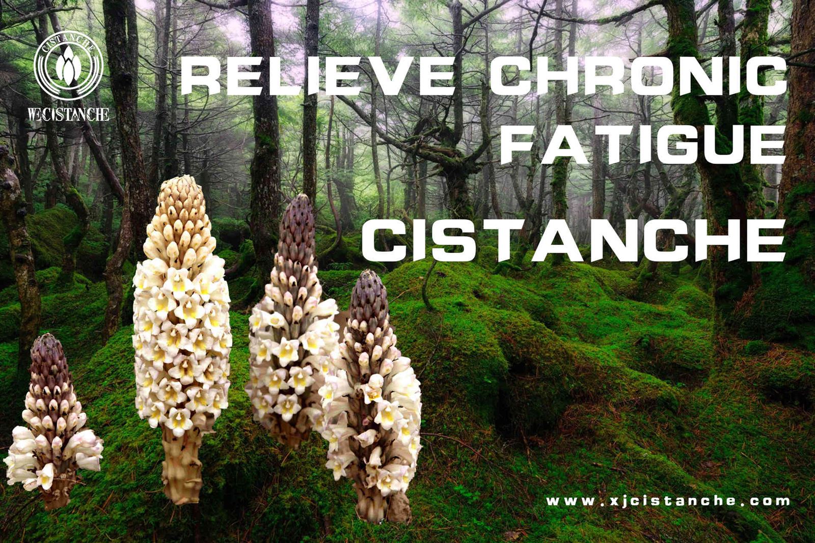 chronic fatigue syndrome (2) chronic fatigue syndrome (2)