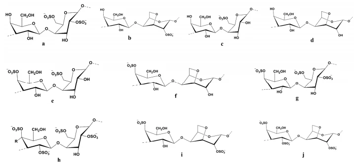 Figure 5. The Molecular structure of different types of carrageenan with potential therapeutic effects is drawn in ChemDraw 12.0 Ultra.