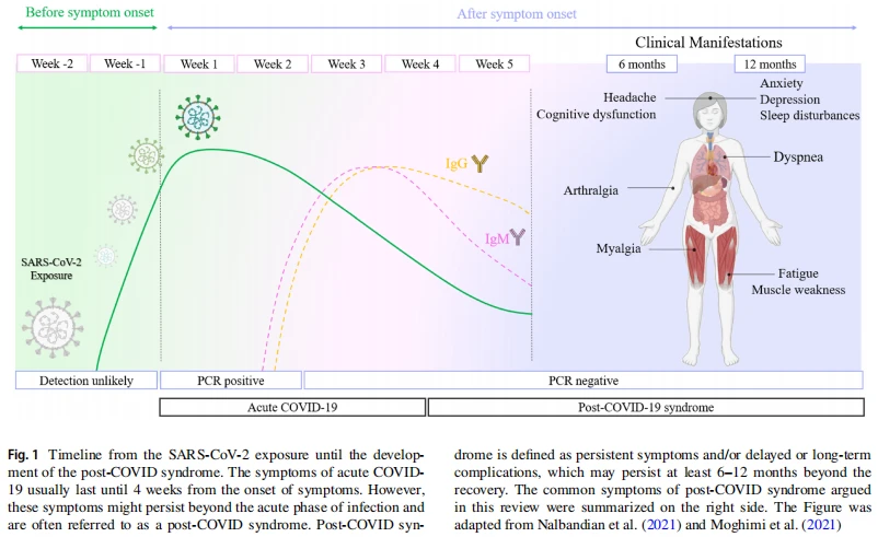 adrenal fatigue