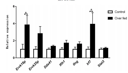 Figure 3. Expression of ERV and the immunity- or inflammation-related genes in the goose liver was induced by overfeeding. The relative expression of ERV and immune-related genes was determined by quantitative PCR. The expression levels of ERVK18P, ERVK25P, DDX41, IFIH1, IFNG, IRF7, and STAT3 in the livers of the overfed geese are presented as the fold change over the control (routine feeding), n 5 6. * denotes P, 0.05 vs. control. All of the data are shown as mean 6 SEM. Abbreviation: ERV, endogenous retrovirus.