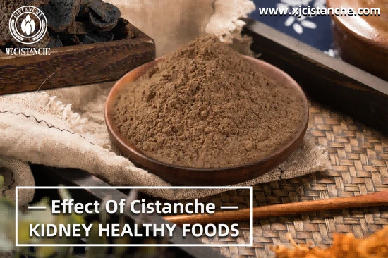 CISTANCHE EXTRACT WITH 25% ECHINACOSIDE AND 9% ACTEOSIDE FOR KIDNEY CISTANCHE EXTRACT WITH 25% ECHINACOSIDE AND 9% ACTEOSIDE FOR KIDNEY