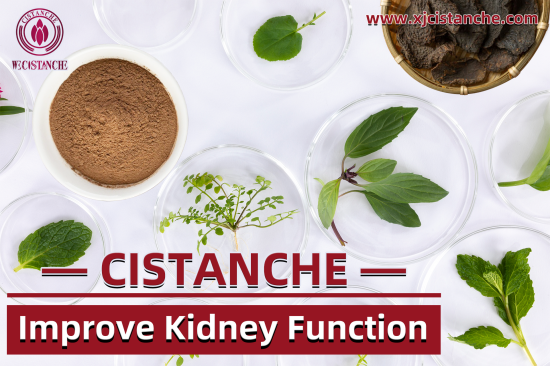 buy cistanche