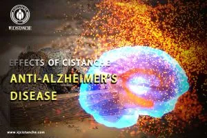 memory enhancement