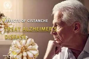 improve your memory