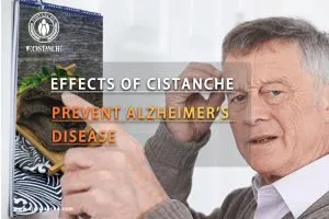 improving brain function