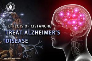 memory enhancement