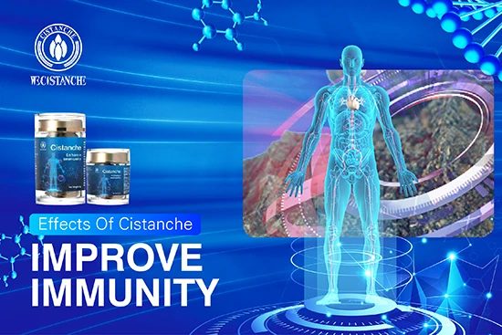 Cistanche deserticola-improve immunity (6)